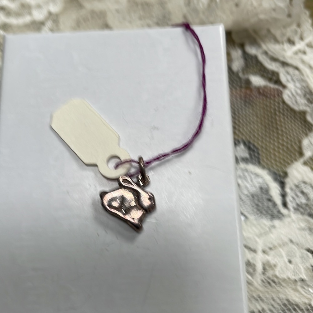 Sterling Bunny 🐰 Rabbit Charm - Picture 4 of 7